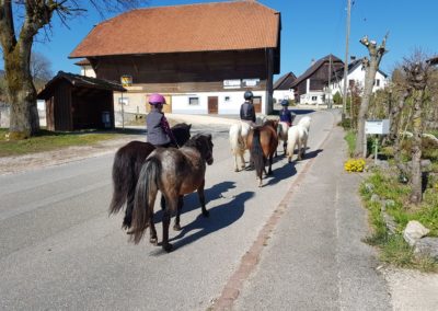 6 chevaux guidés par 2 personnes
