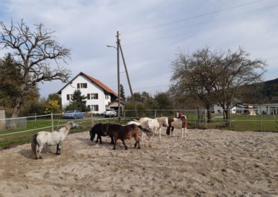 chevaux