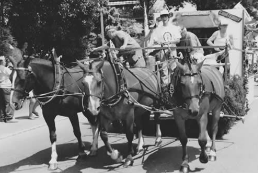 histoire de l'écurie