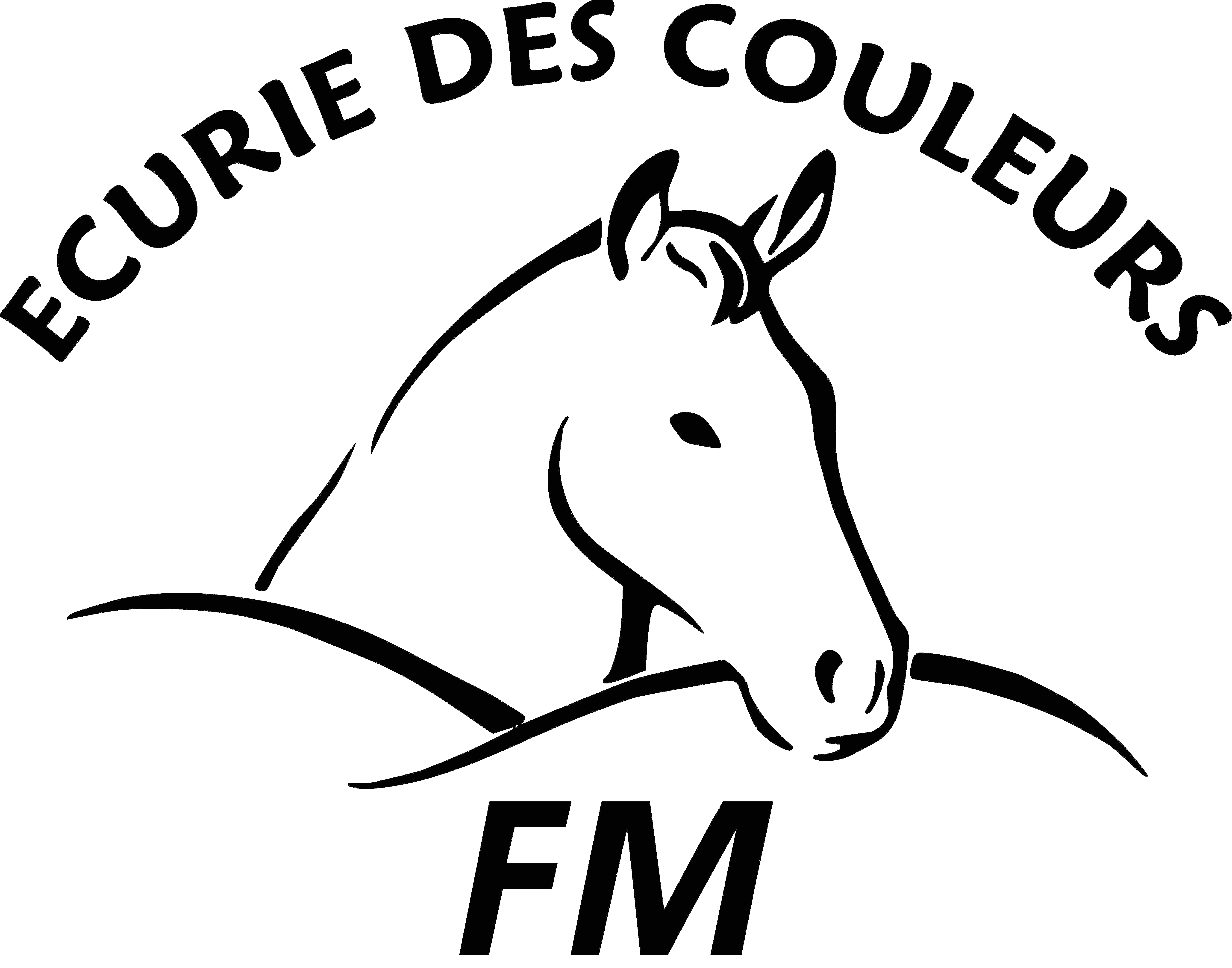 logo du site web